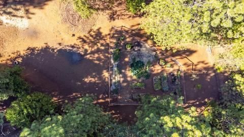 23823 Shake Ridge Rd, Volcano, CA 95689 photo 54