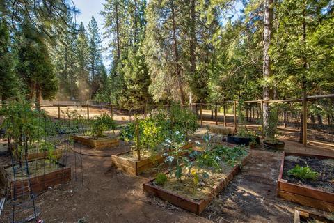 23823 Shake Ridge Rd, Volcano, CA 95689 photo 48