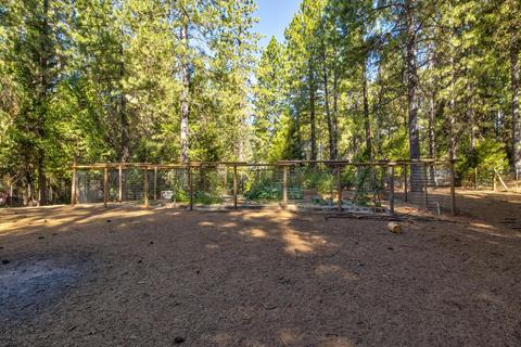 23823 Shake Ridge Rd, Volcano, CA 95689 photo 47