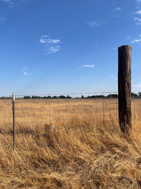 3453 Ruffley Ave, Elverta, CA 95626 photo 63