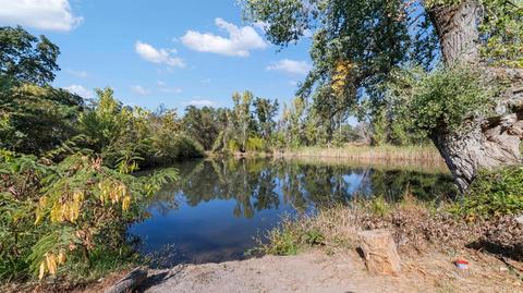 5775 Stone Rd, Loomis, CA 95650 photo 25