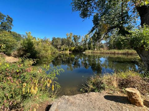 5775 Stone Rd, Loomis, CA 95650 photo 26