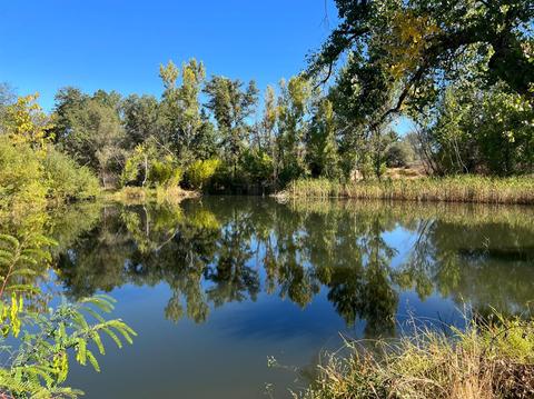 5775 Stone Rd, Loomis, CA 95650 photo 27