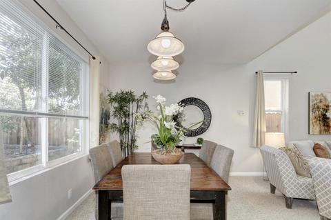 3332 Via Verde Ter, Davis, CA 95618 photo 12
