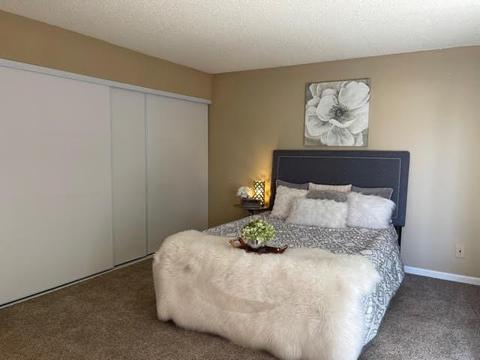 2967 Carreen Ct, Tracy, CA 95376 photo 44