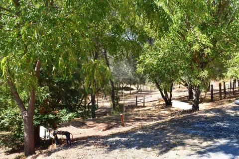 2321 Challenge Ct, Cool, CA 95614 photo 8