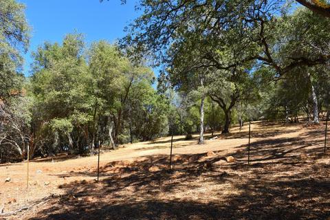 2321 Challenge Ct, Cool, CA 95614 photo 21