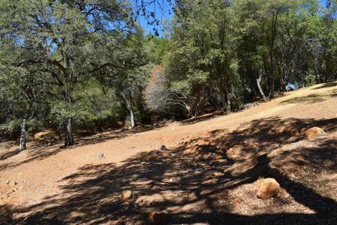 2321 Challenge Ct, Cool, CA 95614 photo 23