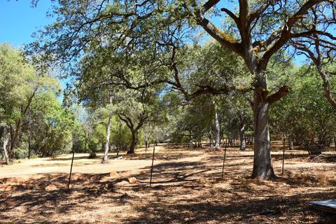 2321 Challenge Ct, Cool, CA 95614 photo 20