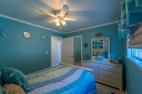 171 Mulholand Dr, Ripon, CA 95366 photo 14