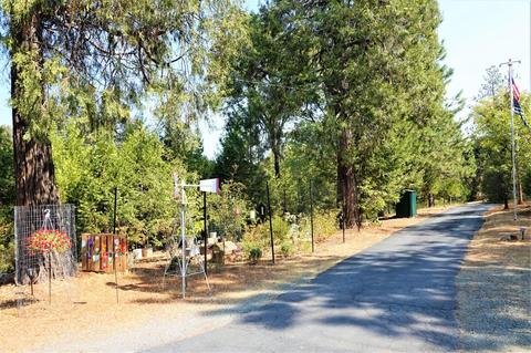18151 Ridge Rd, Pine Grove, CA 95665 photo 42