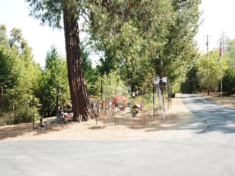 18151 Ridge Rd, Pine Grove, CA 95665 photo 7
