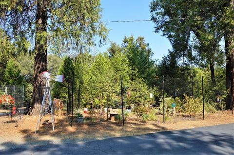 18151 Ridge Rd, Pine Grove, CA 95665 photo 6
