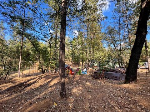 1187 Madrone Ln, Placerville, CA 95667 photo 36
