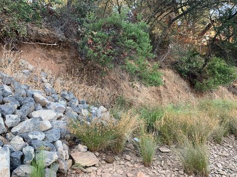 4839 Lakeshore Dr, Copperopolis, CA 95228 photo 13
