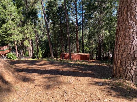 390 Alpine Dr, Colfax, CA 95713 photo 1