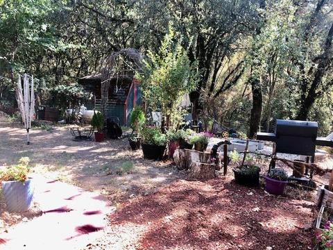 16488 Applegate Rd, Applegate, CA 95703 photo 21
