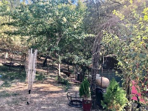 16488 Applegate Rd, Applegate, CA 95703 photo 22