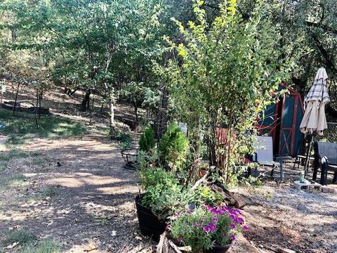 16488 Applegate Rd, Applegate, CA 95703 photo 20