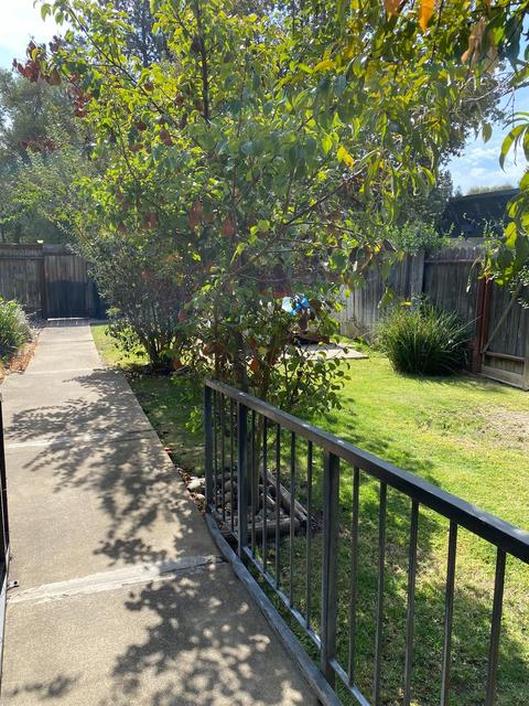 5647 Fair Oaks Blvd, Carmichael, CA 95608 photo 12
