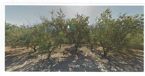 4700 Walnut Rd, Hughson, CA 95326 photo 2