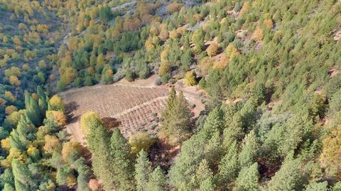6691 Fullen Rd, Murphys, CA 95247 photo 20