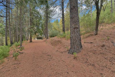 6691 Fullen Rd, Murphys, CA 95247 photo 15