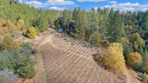 6691 Fullen Rd, Murphys, CA 95247 photo 18