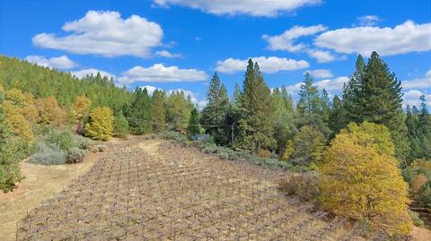 6691 Fullen Rd, Murphys, CA 95247 photo 2