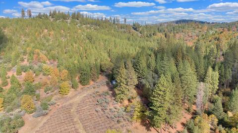 6691 Fullen Rd, Murphys, CA 95247 photo 19
