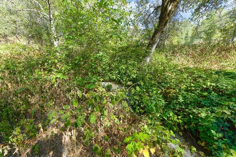 16475 Applegate Rd, Applegate, CA 95703 photo 37