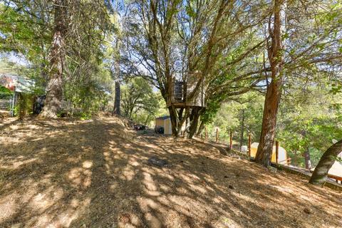 16475 Applegate Rd, Applegate, CA 95703 photo 43