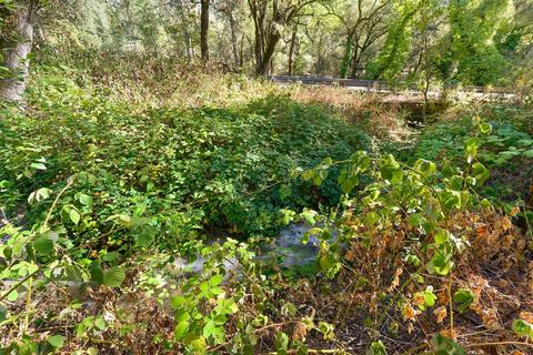 16475 Applegate Rd, Applegate, CA 95703 photo 36