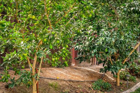 3412 Gagosian Ct, Modesto, CA 95356 photo 30
