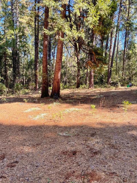 19225 W Allan Rd, Volcano, CA 95689 photo 23