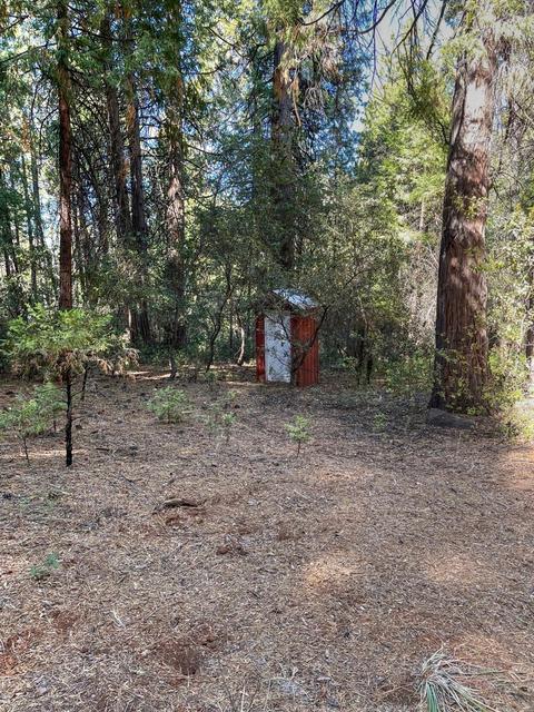 19225 W Allan Rd, Volcano, CA 95689 photo 24