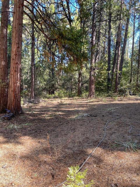 19225 W Allan Rd, Volcano, CA 95689 photo 22