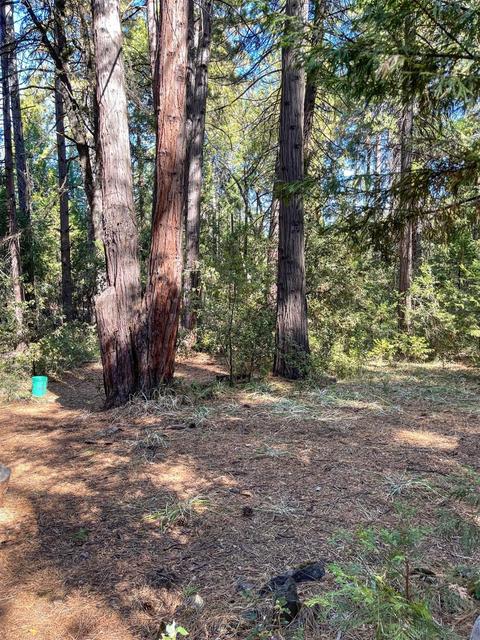 19225 W Allan Rd, Volcano, CA 95689 photo 4