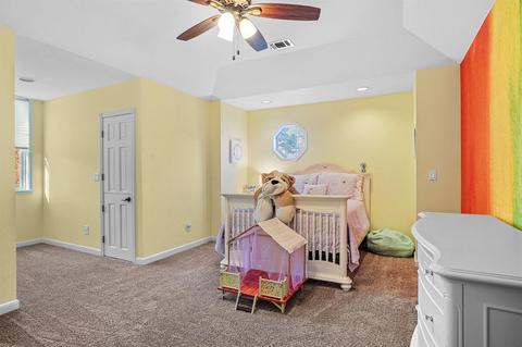 11340 Green Rd, Wilton, CA 95693 photo 52