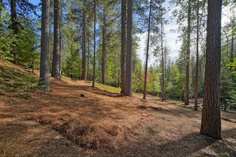 6495 Deer Canyon Ct, Placerville, CA 95667 photo 51