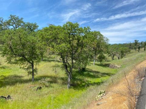 1307 Acorn St, Copperopolis, CA 95228 photo 5