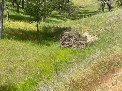 1307 Acorn St, Copperopolis, CA 95228 photo 9