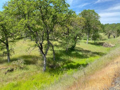 1307 Acorn St, Copperopolis, CA 95228 photo 4