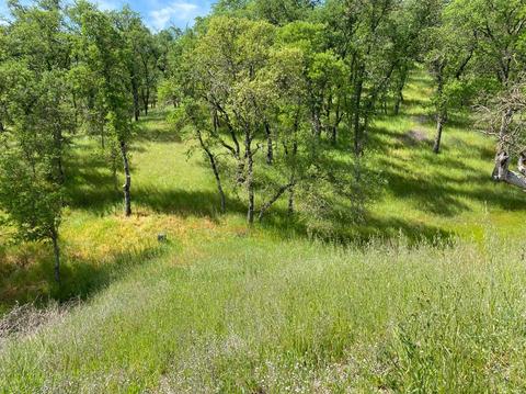 1307 Acorn St, Copperopolis, CA 95228 photo 8