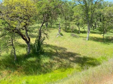 1307 Acorn St, Copperopolis, CA 95228 photo 3