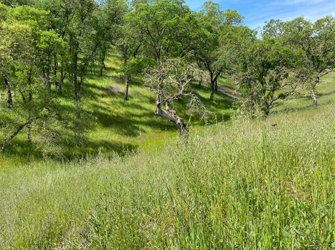 1307 Acorn St, Copperopolis, CA 95228 photo 7