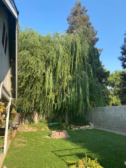 4400 Bluff Crk, Modesto, CA 95355 photo 13