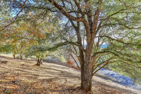 17880 Wallis Dr, Grass Valley, CA 95949 photo 37