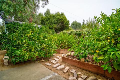 4921 Gibbons Dr, Carmichael, CA 95608 photo 28