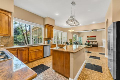 1733 Bathgate Ct, Folsom, CA 95630 photo 13